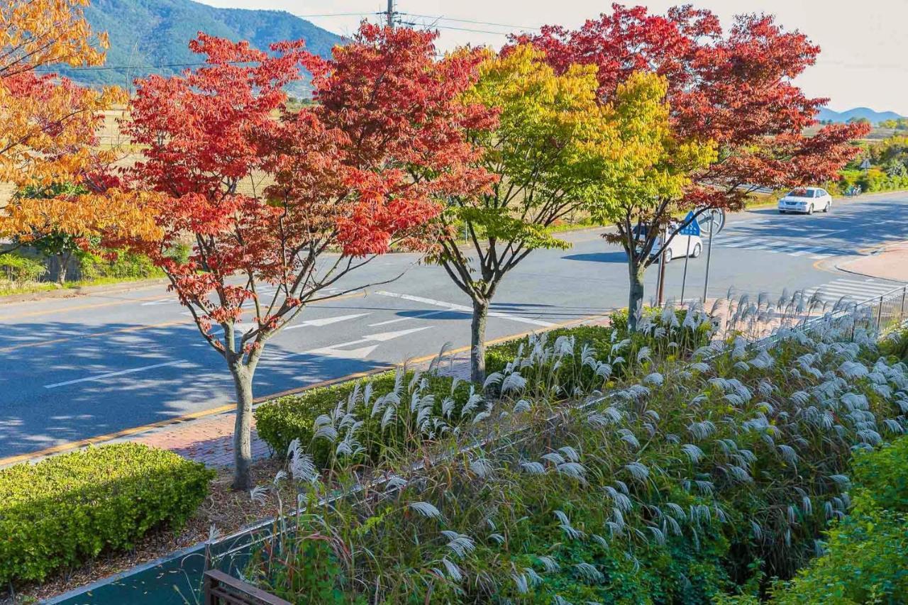 Four Seasons Pension Suncheon Luaran gambar